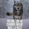 rodriguezhector